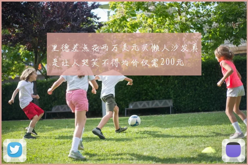 里德差点花两万美元买懒人沙发真是让人哭笑不得均价仅需200元