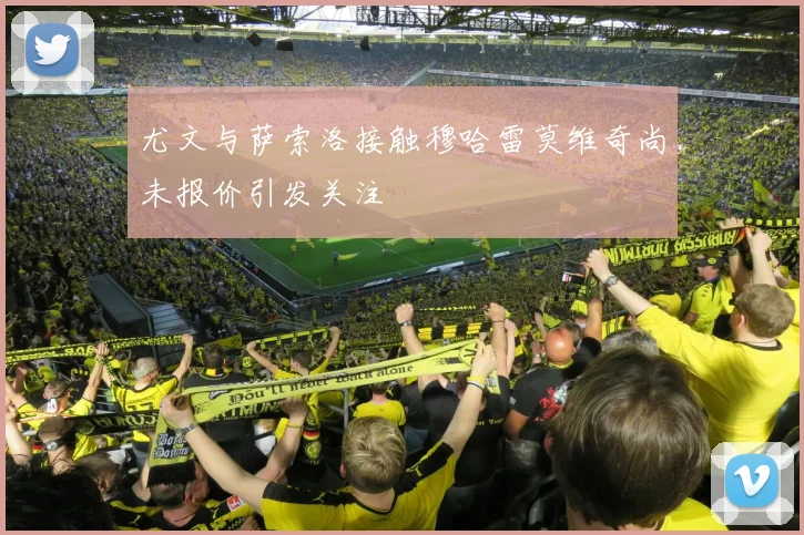 尤文与萨索洛接触穆哈雷莫维奇尚未报价引发关注
