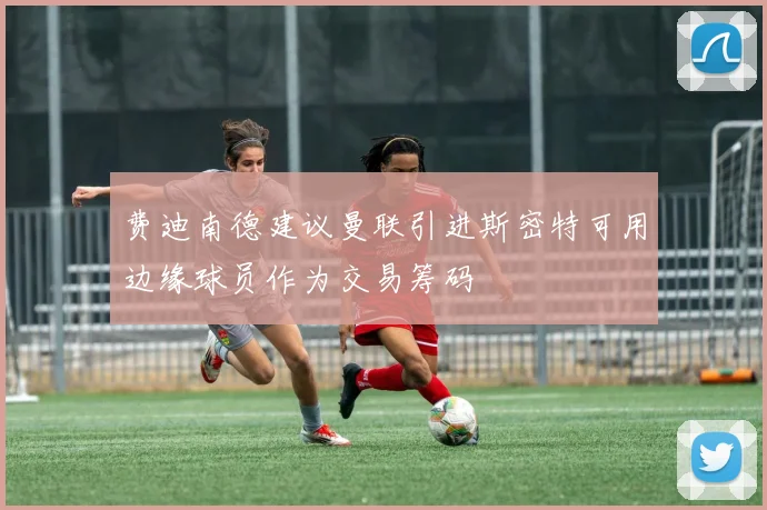 费迪南德建议曼联引进斯密特可用边缘球员作为交易筹码